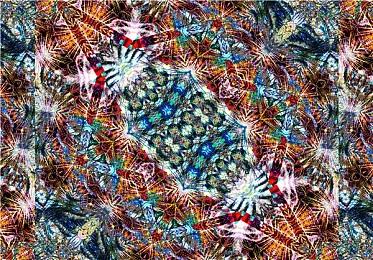 《星空》直面会会公布大量演示 静待6月11日